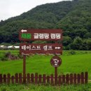 테이스트캠프 이미지