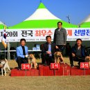 제20회 전국 최우수 진돗개 선발전 수상장면 (한국 반려동물 한마음축제) 이미지