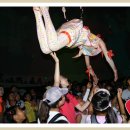 아쿠아수족관 이미지