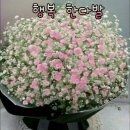 향기공인중개사사무소 이미지