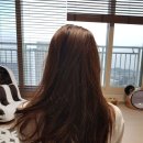 댕기머리헤어클리닉 이미지