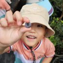 주공농장 이미지