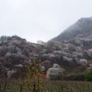 하얀별모텔 이미지