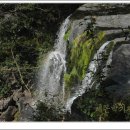 천제연폭포 이미지