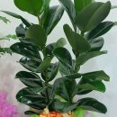 트루미 스터디카페 이미지