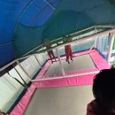 숲속애견랜드 | 서울 찜질방 신촌 숲속한방랜드 삼겹살 세신 후기