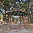 나은빌 | 충남, 서천 대가족 풀빌라 <그곳에 반하다 두 번째 이야기> 장, 단 점 후기