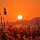 석양의추억 이미지