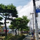 김채민한의원 이미지