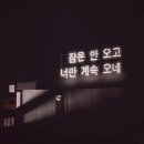 코코호도 네이버블로그