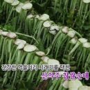 신의주 순대와 쭈꾸미 이미지