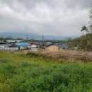 금곡1천 이미지