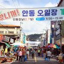 안동중앙약국 이미지