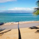 더코브(주) 이미지