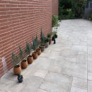 에버리움 | 용인맛집 에버랜드앞 카페 화이트리움 후기