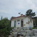 합천깐주골민박 | [스노클링] 영덕 물고기 많은 곳 비교! 석동방파제 VS 대탄방파제