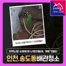 성지세탁소 | 송도 보일러배관청소 비용 인천 연수구 지역난방 순환문제 난방안될때 (송도성지리벨루스)