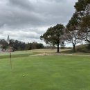 명문장어 | [일본골프] 고베 골프의 명문 미키 요카와CC 라운드