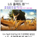 2020년 &#39;삼성 Vs LG&#39; TV 대결은? 이미지