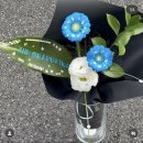 용산-244 | [필로시코스 용산점] 트렌디한 꽃집 - 패션디자이너 디렉터의 콜라보 예술적인 커스텀 꽃