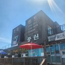 풍원식당 | 제주도 우도 맛집 풍원 한치주물럭 한라산볶음밥 후기