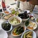 여수맛집 2박3일 이순신광장 먹거리 이화식당 바다김밥 노랑고래 꽈배기 구봉만두 정현횟집 솔직후기