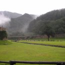 풀빛향기 이미지