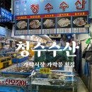 청수6로 | 가락시장 가락몰 횟집 청수수산 오징어회 포장 내돈내산 후기, 가격