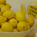 닥터스안경원 이미지