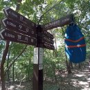 관음2리 이미지