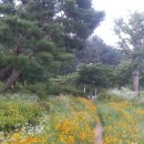 유신주단 Daum카페