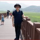 순천만여행 이미지