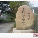 동막골농원꾸지뽕
