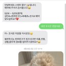 스테이 뭉구 이미지
