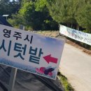 영주시민충전소 네이버블로그
