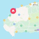 스테이 매기 이미지