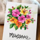 캘리그라피 (야간) 이미지