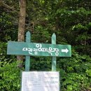 태양목장 | 평창 가볼만한 곳, 대관령양떼목장 재방문 후기 입장료와 주차 꿀팁까지