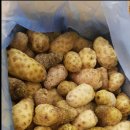 오케이무역주식회사 이미지