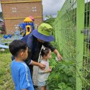 봉오초등학교병설유치원 이미지
