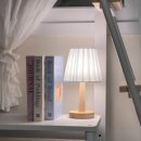 스테이카루 여성전용 이미지