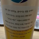 2025년 상반기 일상 1편