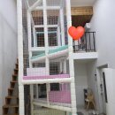 전망좋은 키즈풀빌라 펜션 | 경기 가평, 가성비 좋은 키즈 풀빌라 펜션 '라푼젤 키즈 풀빌라' 키즈스파 4, 내돈내산 방문후기