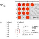 효능평가센터 이미지
