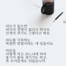 파도 파트너스 이미지