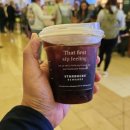 W게임존 | 탑승기] 오렌지 카운티 존 웨인 공항에서 시카고로...유나이티드항공 보잉 737 MAX 퍼스트 클래스 탑승후기