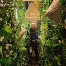 쌀국수 맛집 BEST 14 이미지