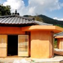 소나무(산촌마을) 이미지