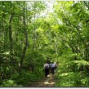 방태산[芳台山] 1,430m 위 치 : 강원도 인제군 기린면, 이미지