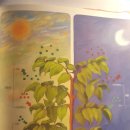 주)정우기공 | [초등전집추천, 스마트 생활속원리과학] 09. 식물은 뭘 먹고 자랄까 (광합성)